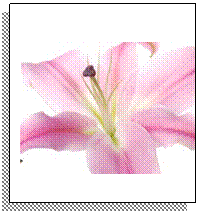 Text Box: